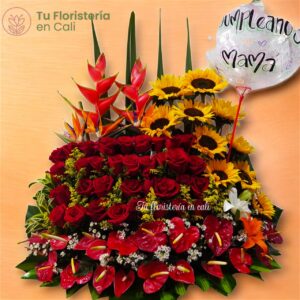 Sembrado super especial 16